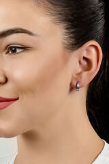 Paauksuoti matiniai auskarai moterims Brilio Silver EA283Y kaina ir informacija | Auskarai | pigu.lt