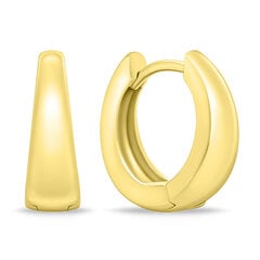 Paauksuoti matiniai auskarai moterims Brilio Silver EA283Y kaina ir informacija | Auskarai | pigu.lt