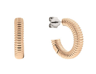 Calvin Klein Модные бронзовые серьги-кольца Playful Repetition 35000033 цена и информация | Серьги | pigu.lt