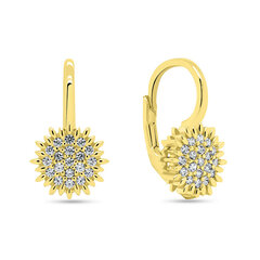 Brilio Silver Charming gold-plated earrings with zircons EA253Y цена и информация | Серьги | pigu.lt