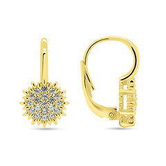 Brilio Silver Charming gold-plated earrings with zircons EA253Y цена и информация | Серьги | pigu.lt