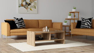 Kavos staliukas Asir, 90x35x50 cm, rudas kaina ir informacija | Kavos staliukai | pigu.lt