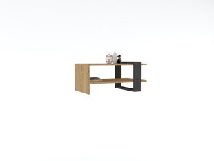 Kavos staliukas Asir, 80x35x50 cm, pilkas/smėlio spalvos kaina ir informacija | Kavos staliukai | pigu.lt
