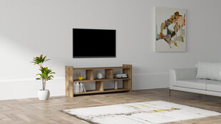 TV staliukas Asir, 120x55x28 cm, rudas kaina ir informacija | TV staliukai | pigu.lt