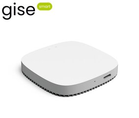 Gise WiFi šliuzas Zigbee Tuya GGT-ZB цена и информация | Системы безопасности, контроллеры | pigu.lt