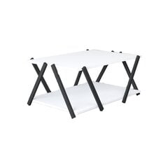 Kavos staliukas Asir, 93,6x63,6x41,2 cm, pilkas/baltas kaina ir informacija | Kavos staliukai | pigu.lt