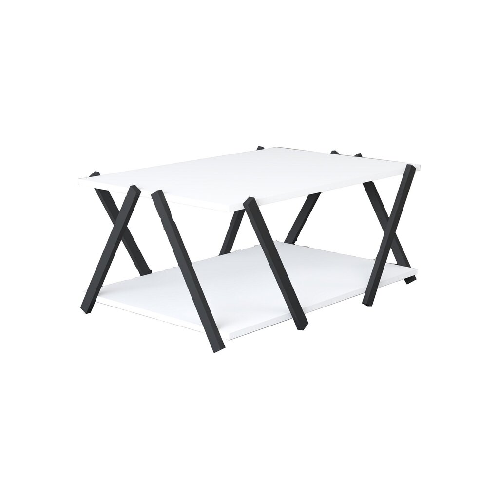 Kavos staliukas Asir, 93,6x63,6x41,2 cm, pilkas/baltas цена и информация | Kavos staliukai | pigu.lt