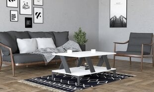 Kavos staliukas Asir, 100x60x40 cm, pilkas/baltas kaina ir informacija | Kavos staliukai | pigu.lt