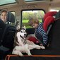 Šunų automobilio kilimėlis Mersjo, 46x130 cm, juodas kaina ir informacija | Kelioniniai reikmenys | pigu.lt