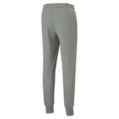 Puma Спортивные Брюки Ess+ 2 Col  Logo Pants Grey 586768 03 586768 03/S цена и информация | Мужская спортивная одежда | pigu.lt