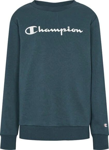 Džemperis berniukams Champion 305360-GS549, žalias цена и информация | Megztiniai, bluzonai, švarkai berniukams | pigu.lt