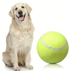 Žaidimų kamuolys šunims Smurf, 24cm kaina ir informacija | Žaislai šunims | pigu.lt