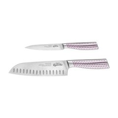 4swiss peilių rinkinys dėžutėje Perfect Knife, 2 dalių kaina ir informacija | Peiliai ir jų priedai | pigu.lt