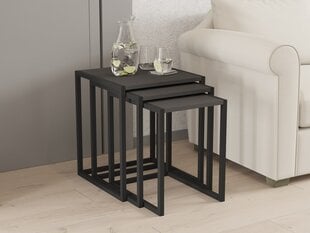 3-ių dalių kavos staliukų komplektas Asir, 40x55x40 cm, juodas/pilkas kaina ir informacija | Kavos staliukai | pigu.lt
