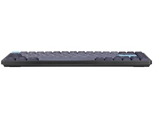 Tracer TRAKLA47308 цена и информация | Клавиатуры | pigu.lt