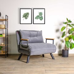 1 sėdynės sofa-lova Sando Single - Grey цена и информация | Кресла в гостиную | pigu.lt