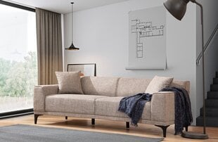 Trivietė sofa Asir Petra 3, ruda kaina ir informacija | Sofos | pigu.lt