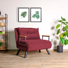 1 sėdynės sofa-lova Sando Single - Maroon цена и информация | Кресла в гостиную | pigu.lt