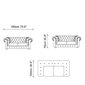 Dvivietė sofa Asir Cupon, žalia kaina ir informacija | Sofos | pigu.lt