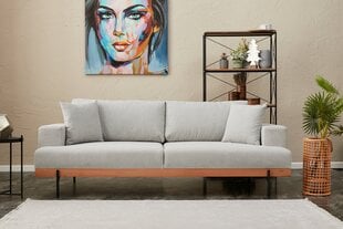Trivietė sofa Asir Liva, pilka kaina ir informacija | Sofos | pigu.lt