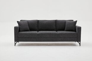 Triivietė sofa Atelier Del Sofa Berlin, pilka kaina ir informacija | Sofos | pigu.lt