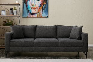 3 vietų sofa Berlin - Anthracite, Black цена и информация | Диваны | pigu.lt