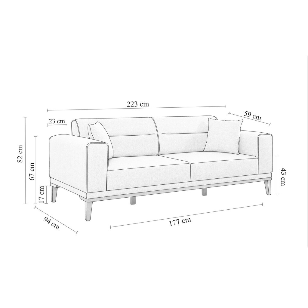 Sofa-lova Asir Lionesi, smėlio spalvos kaina ir informacija | Sofos | pigu.lt