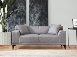 2 vietų sofa Petra 2 - Light Grey цена и информация | Диваны | pigu.lt
