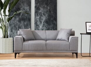 Dvivietė sofa Atelier Del Sofa Petra 2, pilka цена и информация | Диваны | pigu.lt