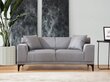 Dvivietė sofa Atelier Del Sofa Petra 2, pilka kaina ir informacija | Sofos | pigu.lt