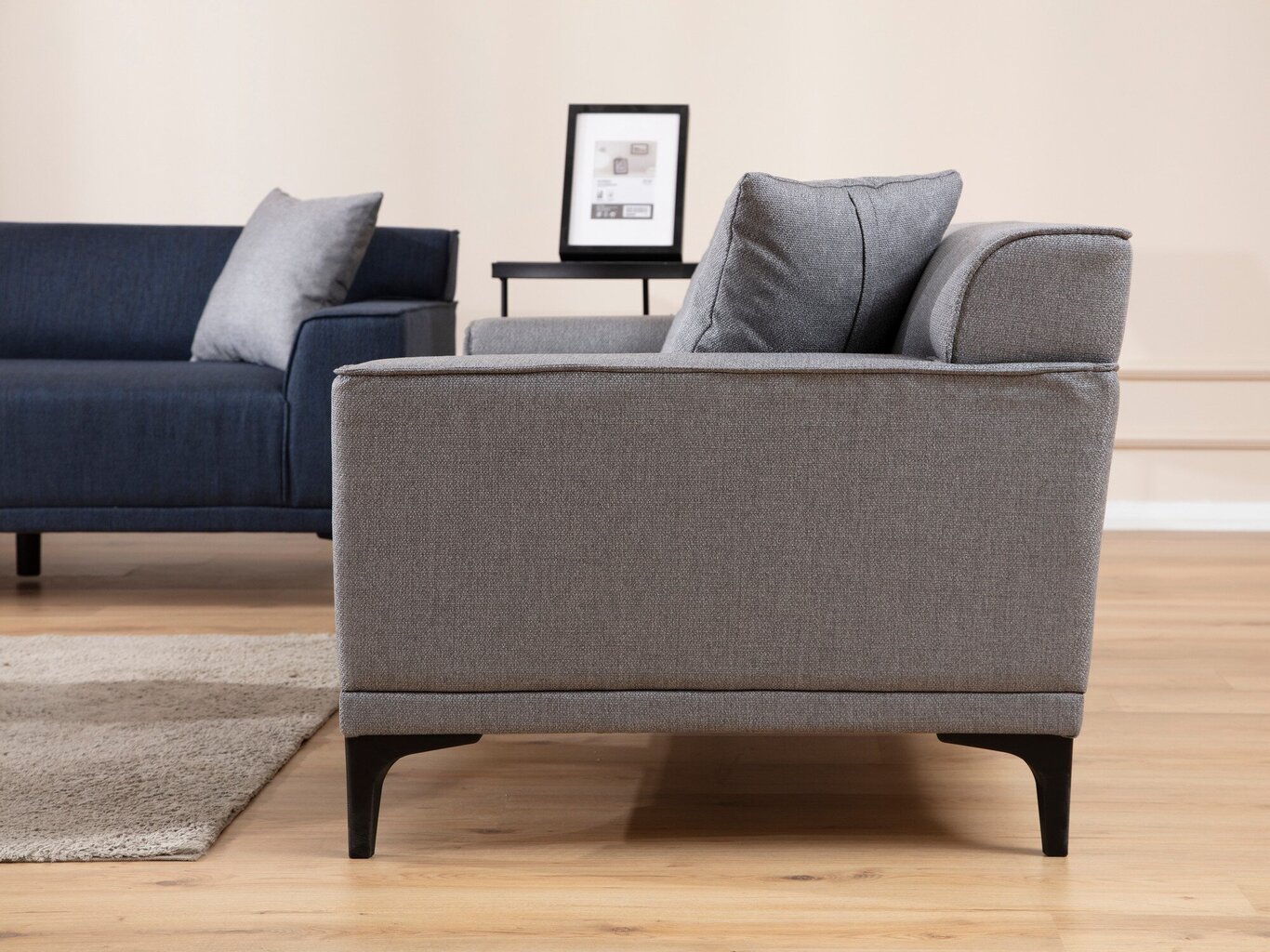 Dvivietė sofa Atelier Del Sofa Petra 2, pilka цена и информация | Sofos | pigu.lt