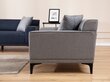 Dvivietė sofa Atelier Del Sofa Petra 2, pilka kaina ir informacija | Sofos | pigu.lt