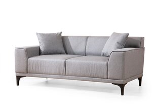 2 vietų sofa Petra 2 - Light Grey цена и информация | Диваны | pigu.lt