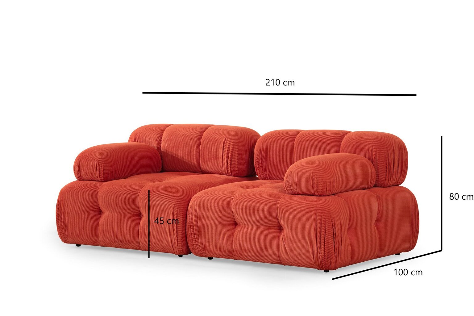 Dvivietė sofa Atelier Del Sofa Doblo, raudona kaina ir informacija | Sofos | pigu.lt