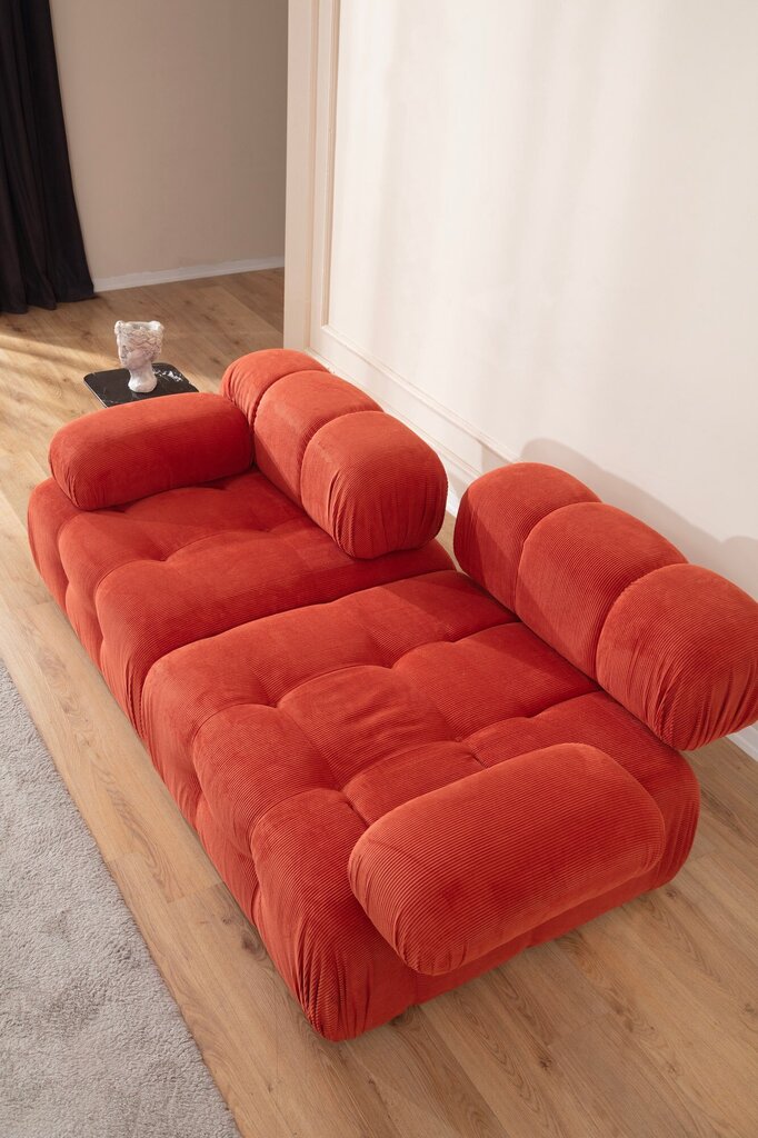 Dvivietė sofa Atelier Del Sofa Doblo, raudona kaina ir informacija | Sofos | pigu.lt