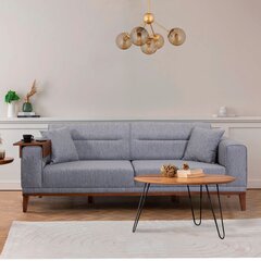 3 vietų sofa-lova Liones 3 - Grey kaina ir informacija | Sofos | pigu.lt