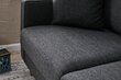 Dvivietė sofa Atelier Del Sofa Eva, pilka цена и информация | Sofos | pigu.lt