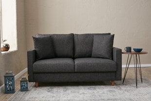 Dvivietė sofa Atelier Del Sofa Eva, pilka kaina ir informacija | Sofos | pigu.lt