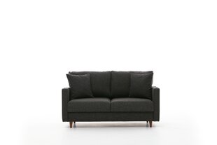 Dvivietė sofa Atelier Del Sofa Eva, pilka kaina ir informacija | Sofos | pigu.lt
