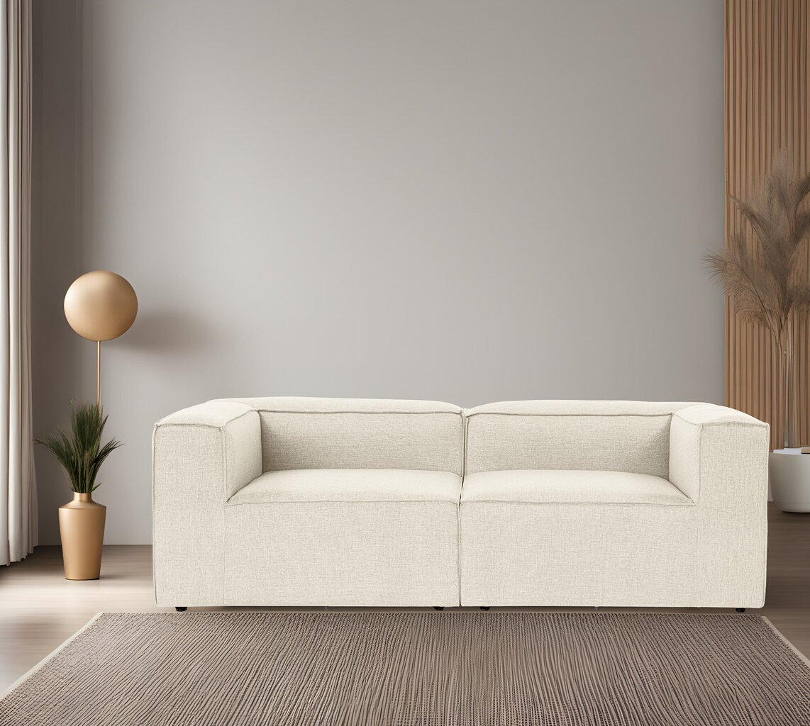 Dvivietė sofa Atelier Del Sofa Fora 2, smėlio spalvos kaina ir informacija | Sofos | pigu.lt