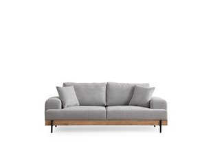 Trivietė sofa Atelier Del Sofa Eti Oak, pilka kaina ir informacija | Sofos | pigu.lt