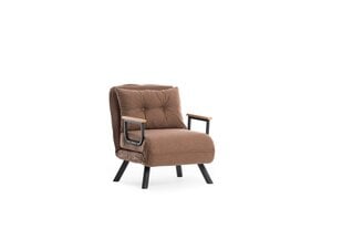 1 sėdynės sofa-lova Sando Single - Brown цена и информация | Кресла в гостиную | pigu.lt