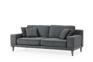 3 vietų sofa Noir 3 - Dark Grey kaina ir informacija | Sofos | pigu.lt