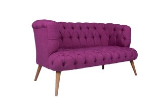 2 vietų sofa West Monroe - Purple kaina ir informacija | Sofos | pigu.lt
