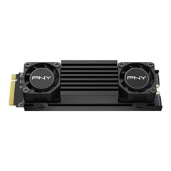 PNY CS3150 (M280CS3150HS-1TB-RB) kaina ir informacija | Vidiniai kietieji diskai (HDD, SSD, Hybrid) | pigu.lt