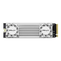 PNY CS3150 (M280CS3150HSW-2TB-RB) цена и информация | Внутренние жёсткие диски (HDD, SSD, Hybrid) | pigu.lt