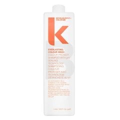 Šampūnas dažytiems plaukams Kevin Murphy Everlasting Colour Wash, 1000 ml kaina ir informacija | Šampūnai | pigu.lt