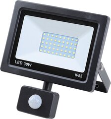 LED prožektorius 30W kaina ir informacija | Žibintuvėliai, prožektoriai | pigu.lt