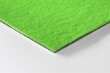 Durų kilimėlis Lively Žalia 60x40 cm цена и информация | Durų kilimėliai | pigu.lt