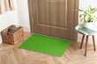 Durų kilimėlis Lively Žalia 60x40 cm цена и информация | Durų kilimėliai | pigu.lt